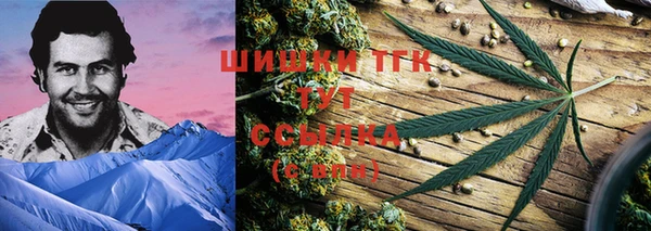 индика Семёнов