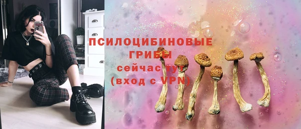 а пвп мука Богородск