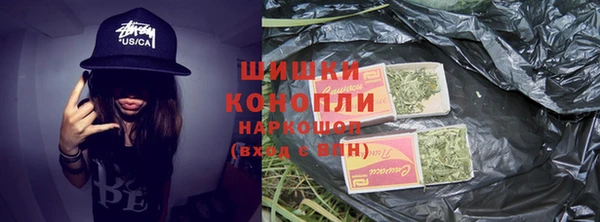 индика Семёнов