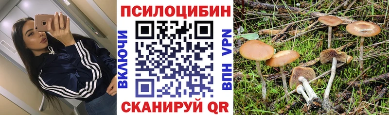Галлюциногенные грибы Magic Shrooms  купить   Саяногорск 