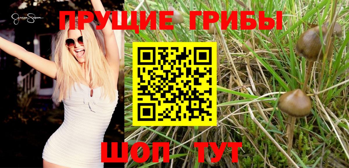 Галлюциногенные грибы мицелий  Псилоцибиновые грибы MAGIC MUSHROOMS  Саяногорск  Вход с VPN 