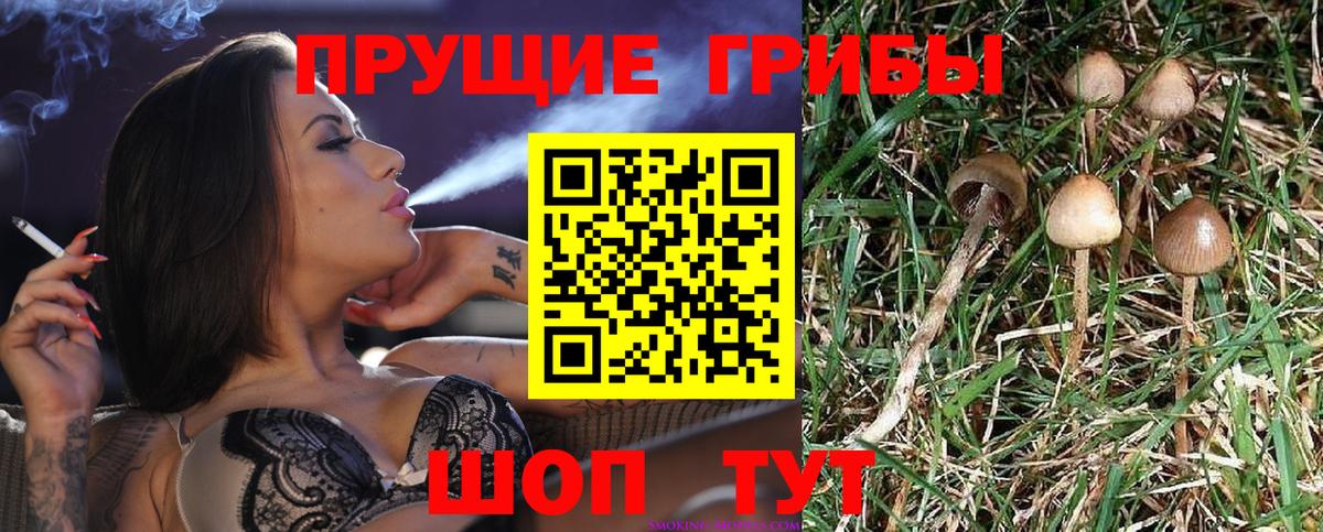 Псилоцибиновые грибы ЛСД Саяногорск